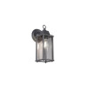 Lampa zewnętrzna ścienna OLONA 201960142 Trio
