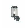 Lampa zewnętrzna ścienna TANARO 202360142 Trio