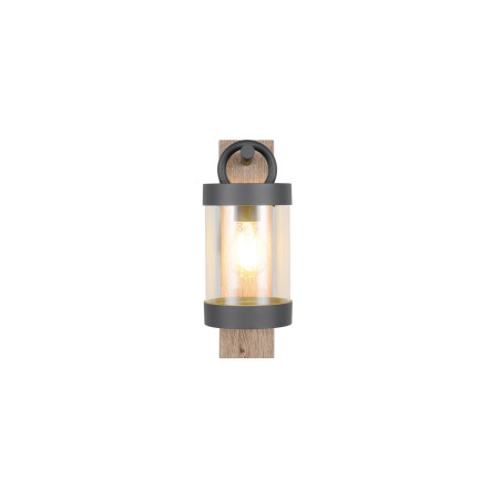 Lampa zewnętrzna ścienna SAMBESI 204160135 Trio
