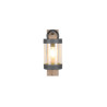 Lampa zewnętrzna ścienna SAMBESI 204160135 Trio