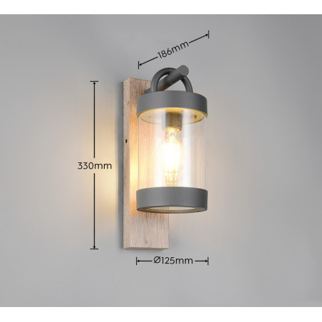 Lampa zewnętrzna ścienna SAMBESI 204160135 Trio