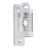 Lampa zewnętrzna ścienna SAMBESI 204169131 Trio