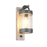 Lampa zewnętrzna ścienna SAMBESI 204169135 Trio