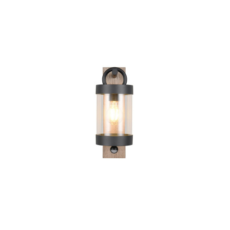 Lampa zewnętrzna ścienna SAMBESI 204169135 Trio