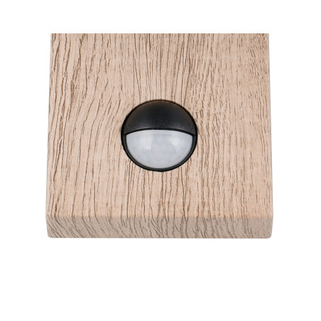 Lampa zewnętrzna ścienna SAMBESI 204169135 Trio
