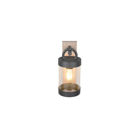 Lampa zewnętrzna ścienna SAMBESI 204169135 Trio