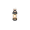 Lampa zewnętrzna ścienna SAMBESI 204169135 Trio