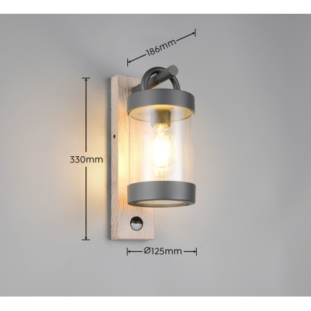 Lampa zewnętrzna ścienna SAMBESI 204169135 Trio