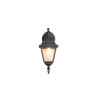 Lampa zewnętrzna ścienna LIVENZA 205767132 Trio