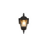 Lampa zewnętrzna ścienna LIVENZA 205767132 Trio