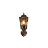 Lampa zewnętrzna ścienna VOLTURNO 205960128 Trio