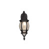 Lampa zewnętrzna ścienna ELVO 206960132 Trio