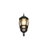 Lampa zewnętrzna ścienna ELVO 206960132 Trio