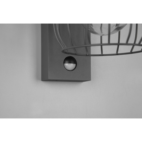 Lampa zewnętrzna ścienna TUELA 210869142 Trio