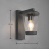 Lampa zewnętrzna ścienna CAVADO 211060142 Trio