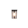 Lampa zewnętrzna ścienna ARDILA - CZUJNIK ZMIERZCHU 211660132 Trio