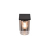 Lampa zewnętrzna ścienna ARDILA - CZUJNIK ZMIERZCHU 211660132 Trio
