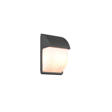 Lampa zewnętrzna ścienna MERSEY 212160242 Trio