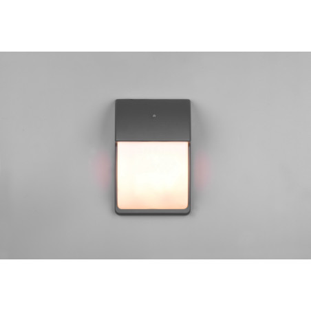 Lampa zewnętrzna ścienna MERSEY 212160242 Trio