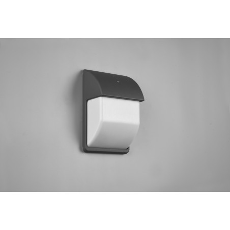 Lampa zewnętrzna ścienna MERSEY 212160242 Trio