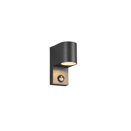 Lampa zewnętrzna ścienna ROYA 214260142 Trio