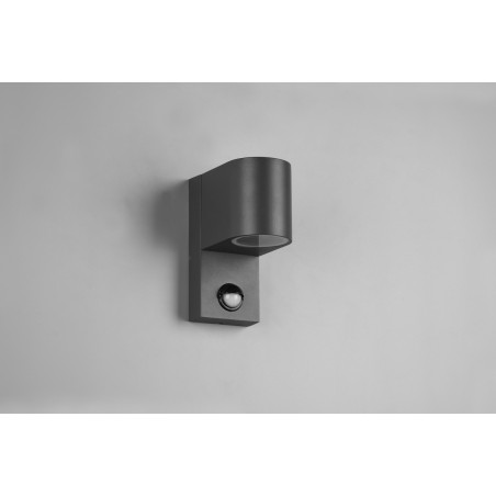 Lampa zewnętrzna ścienna ROYA 214260142 Trio