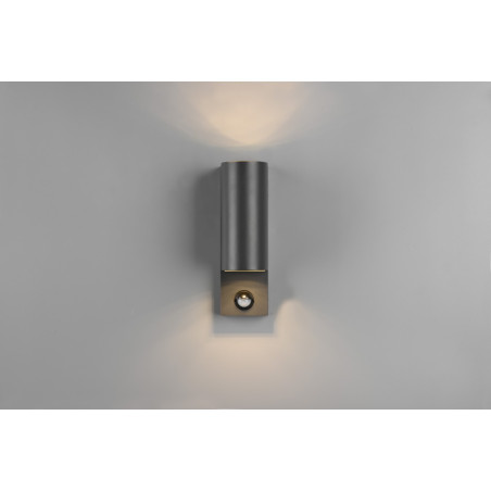 Lampa zewnętrzna ścienna ROYA 214260242 Trio