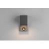 Lampa zewnętrzna ścienna ROYA 214269142 Trio