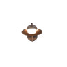 Lampa zewnętrzna ścienna ATRATO 218260124 Trio