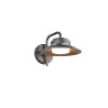Lampa zewnętrzna ścienna ATRATO 218260142 Trio