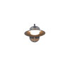 Lampa zewnętrzna ścienna ATRATO 218260142 Trio