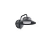 Lampa zewnętrzna ścienna ATRATO 218260142 Trio