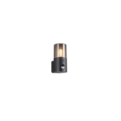 Lampa zewnętrzna ścienna HOOSIC - CZUJNIK RUCHU 222260132 Trio
