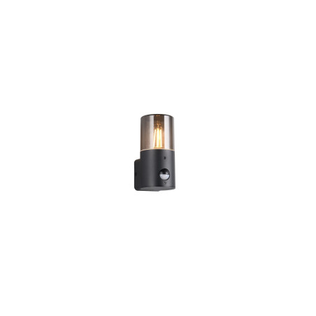 Lampa zewnętrzna ścienna HOOSIC - CZUJNIK RUCHU 222260132 Trio