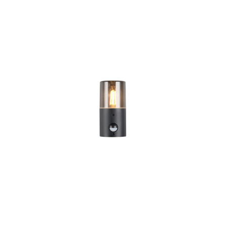 Lampa zewnętrzna ścienna HOOSIC - CZUJNIK RUCHU 222260132 Trio