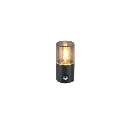 Lampa zewnętrzna ścienna HOOSIC - CZUJNIK RUCHU 222260132 Trio