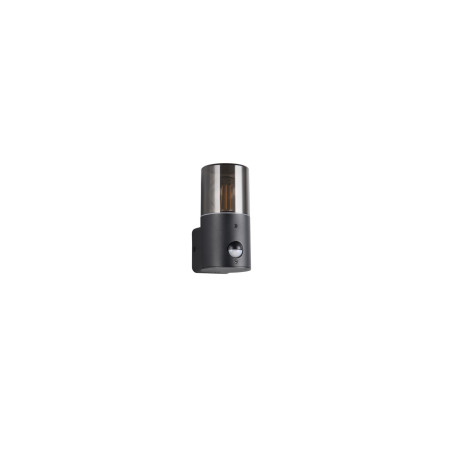 Lampa zewnętrzna ścienna HOOSIC - CZUJNIK RUCHU 222260132 Trio