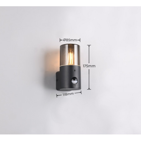 Lampa zewnętrzna ścienna HOOSIC - CZUJNIK RUCHU 222260132 Trio