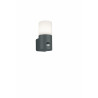 Lampa zewnętrzna ścienna HOOSIC 222260142 Trio