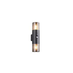 Lampa zewnętrzna ścienna HOOSIC - CZUJNIK RUCHU 222260232 Trio
