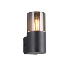 Lampa zewnętrzna ścienna HOOSIC 224060132 Trio