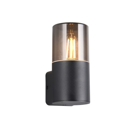 Lampa zewnętrzna ścienna HOOSIC 224060132 Trio
