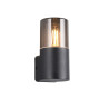 Lampa zewnętrzna ścienna HOOSIC 224060132 Trio