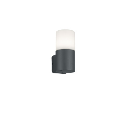 Lampa zewnętrzna ścienna HOOSIC 224060142 Trio