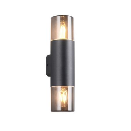 Lampa zewnętrzna ścienna HOOSIC 224060232 Trio