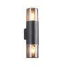 Lampa zewnętrzna ścienna HOOSIC 224060232 Trio
