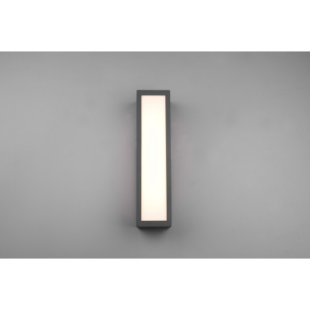 Lampa zewnętrzna ścienna FUERTE 226260142 Trio