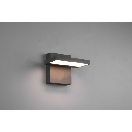 Lampa zewnętrzna ścienna HORTON 226360142 Trio