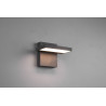 Lampa zewnętrzna ścienna HORTON 226360142 Trio
