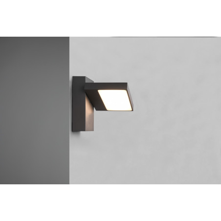 Lampa zewnętrzna ścienna HORTON 226360142 Trio